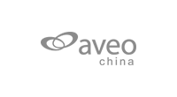 爱维中国