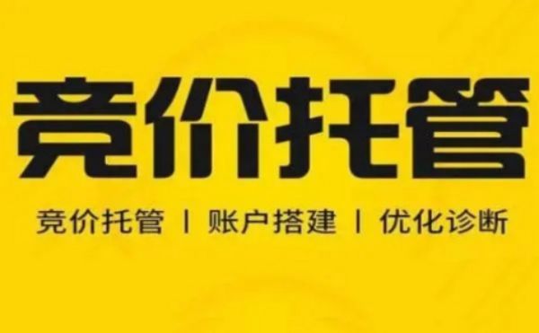 SEM代运营市场大揭秘：为何企业纷纷选择我们