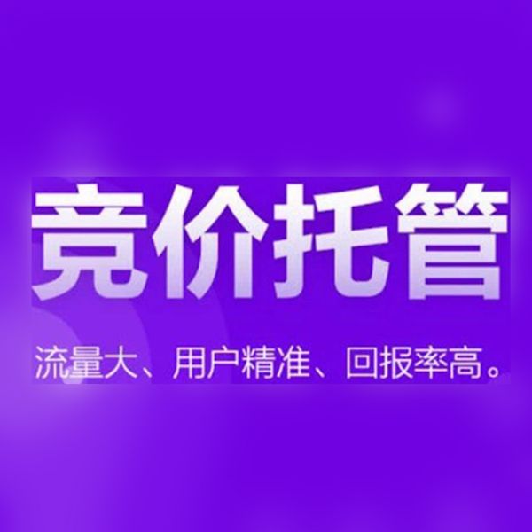 2024年SEM工具选型指南 从效率到转化的全维度评估-1