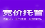 2024年SEM工具选型指南 从效率到转化的全维度评估